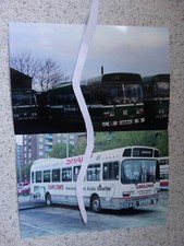 Bus photograph united for sale  TRURO