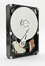 Western digital caviar usato  Spedire a Italy