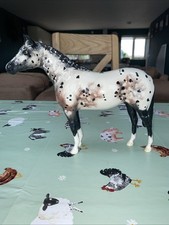 Beswick appaloosa horse for sale  MALTON