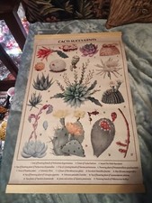 Cacti succulents wall for sale  Horseshoe Bend