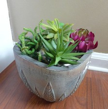 Mix artificial succulents for sale  Indianapolis