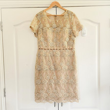 Gina bacconi lace for sale  ABERDEEN
