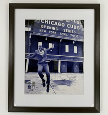 Ernie banks outside for sale  Seattle