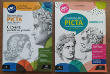 Grammatica picta laura usato  Castellammare di Stabia