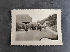1950s hay horse d'occasion  Expédié en Belgium