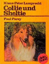 Collie sheltie langhaar gebraucht kaufen  Berlin