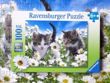 Süße kätzchen 100er gebraucht kaufen  Hannover