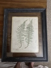 Framed double fern for sale  Monroe