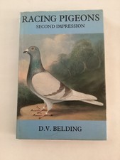 Racing pigeons v. for sale  DUNMOW