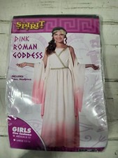 Spirit halloween costume for sale  Lees Summit