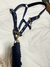 Cob pony head for sale  BIGGLESWADE
