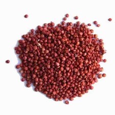 100 seeds wild for sale  USA