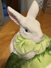 Easter bunny lettuce for sale  Vernon Rockville