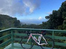 Pinarello dogma 60.1 for sale  BOURNEMOUTH