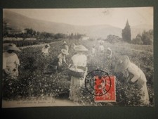 Cpa carte postale d'occasion  Sainte-Sévère-sur-Indre