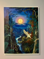 Alfredo zagaceta amazon for sale  Strafford