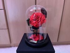 Neu infinity rose gebraucht kaufen  Berlin