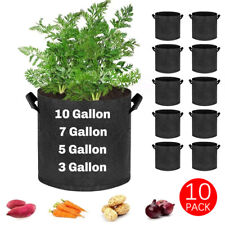 10x large plant for sale  WALSALL