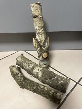 Holzstamm birkenholz deko gebraucht kaufen  Halle