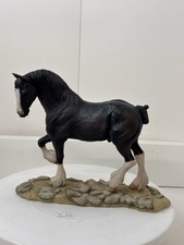 Teviotdale shire horse for sale  NORWICH