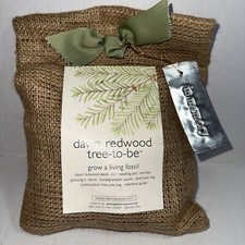 Tree dawn redwood for sale  Bonita
