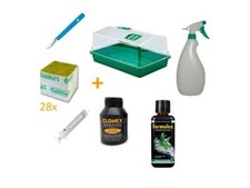Propagation kit cuttings for sale  Shipping to United Kingdom
