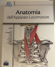 Anatomia dell apparato usato  Novara