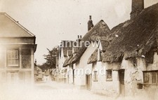 Great chesterford saffron for sale  ABERYSTWYTH