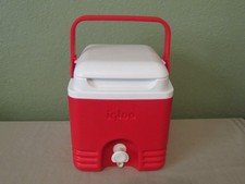 Vintage gallon igloo for sale  Delta