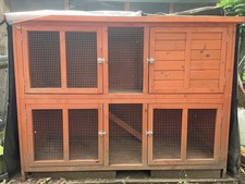 Pets home bluebell for sale  BILLINGSHURST