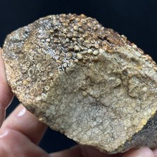 1lb 2oz agatized for sale  Spokane