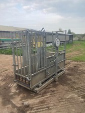Cattle crush iae for sale  BRISTOL