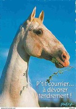 Animaux chevaux tete d'occasion  Fruges