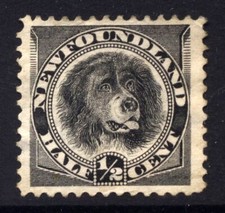 Newfoundland 1894 cat for sale  INVERURIE