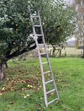 Vintage antique fruit for sale  FAVERSHAM