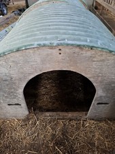 Kunekune pig arc for sale  CARNFORTH