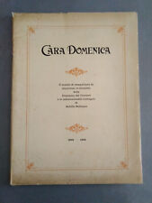 Cartella cara domenica usato  Imperia