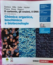 Carbonio gli enzimi usato  Benevento