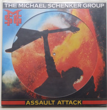 The michael schenker usato  Torino