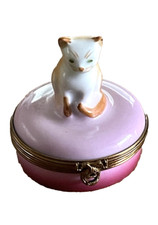 Limoges cat kitten for sale  BRIGHTON