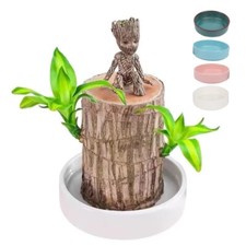tree decorative pot for sale tree decorative pot for sale Ontario