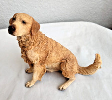 retriever golden dog cute for sale retriever golden dog cute for sale Aurora