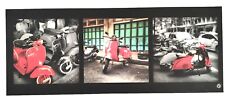 Quadro pannello decorativo usato  Stienta