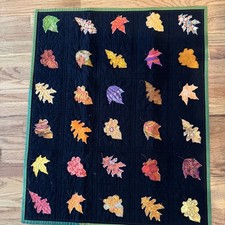 Quilt soft edge for sale  Arroyo Grande