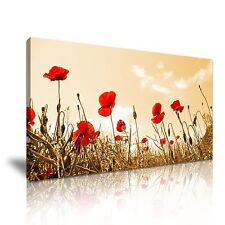 Red poppy flower for sale  BIRMINGHAM