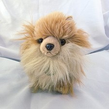 Aurora miyoni pomeranian for sale  Colchester