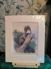 Antique pine marten for sale  GLASGOW