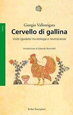 Cervello gallina. visite usato  Italia