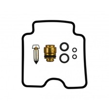 Carburetor repair kit for sale  BRIGHTON