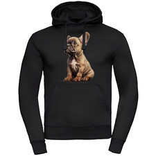 Bullyfriend hoodie französisc gebraucht kaufen  Templin